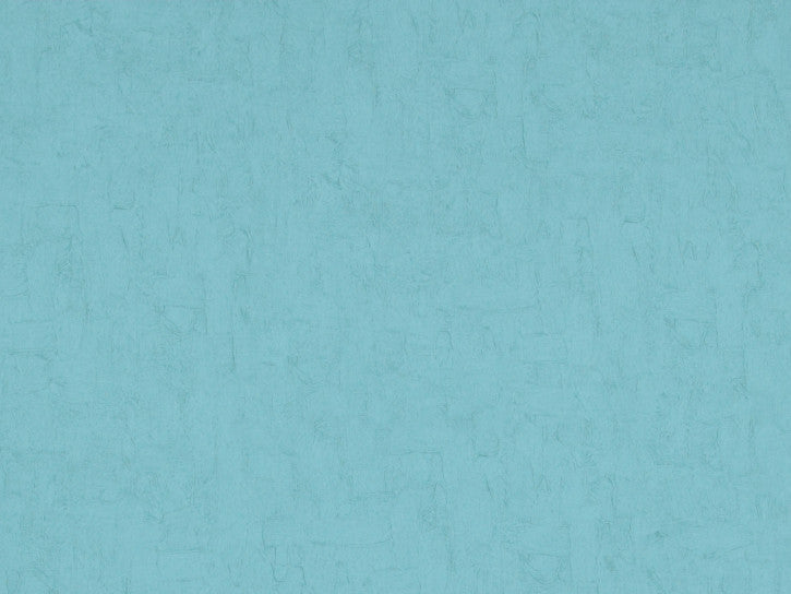 Van Gogh 17113