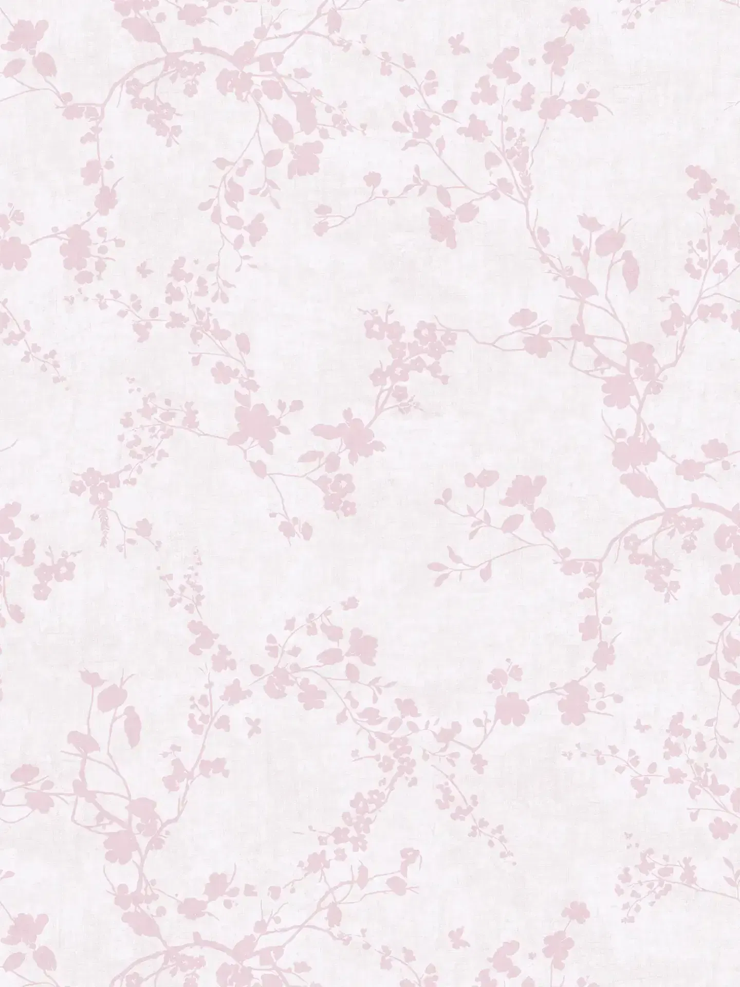 Lilly & Luis AS770791