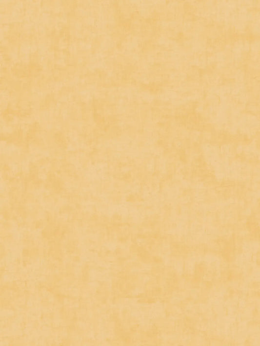 Lilly & Luis AS771791