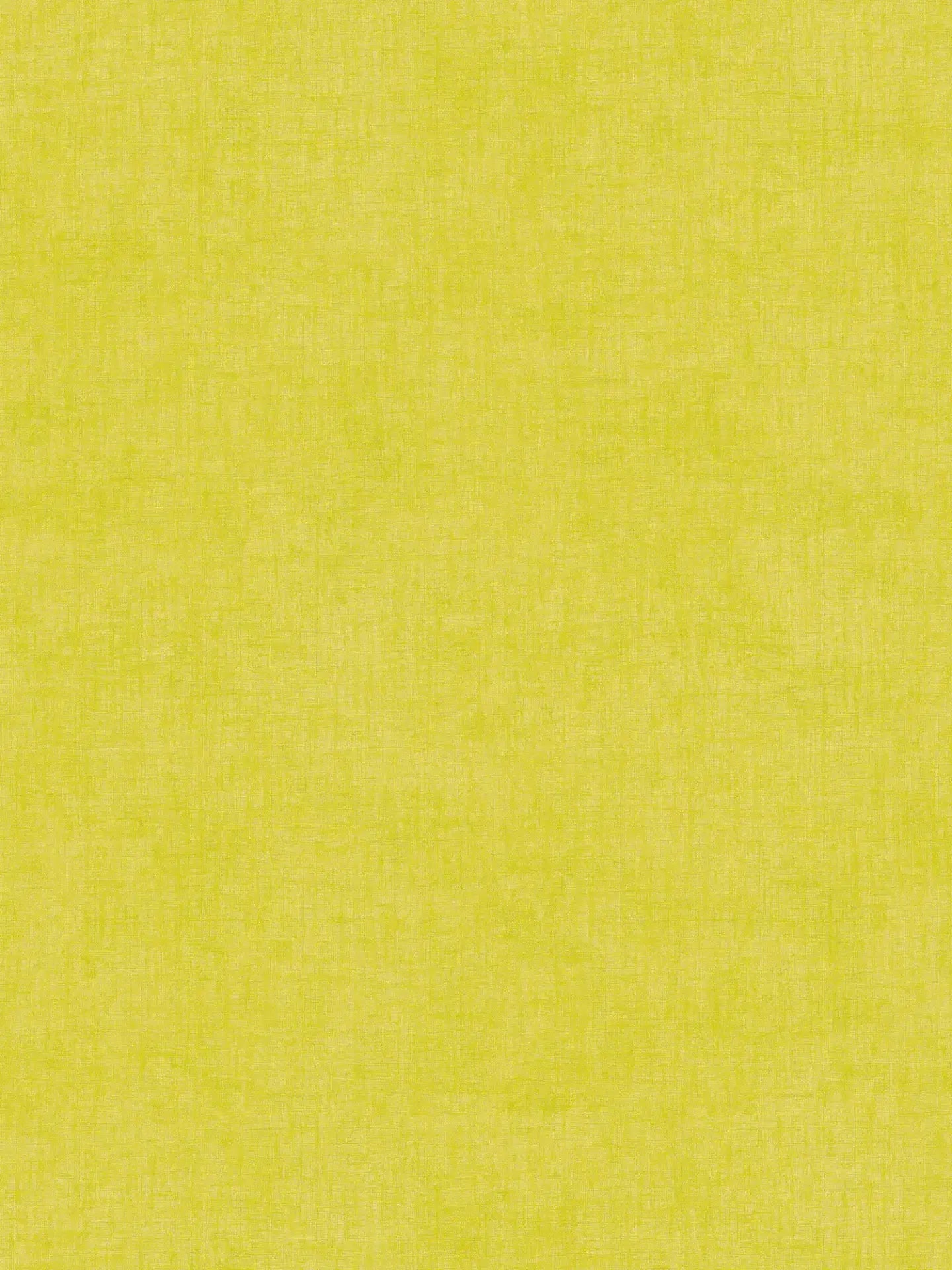 Lilly & Luis AS771793