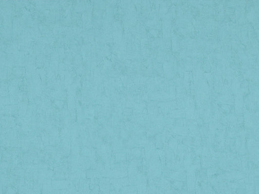 Van Gogh 17113