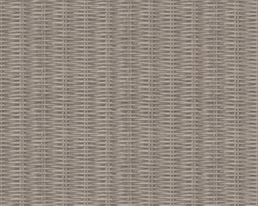 New Walls 373934